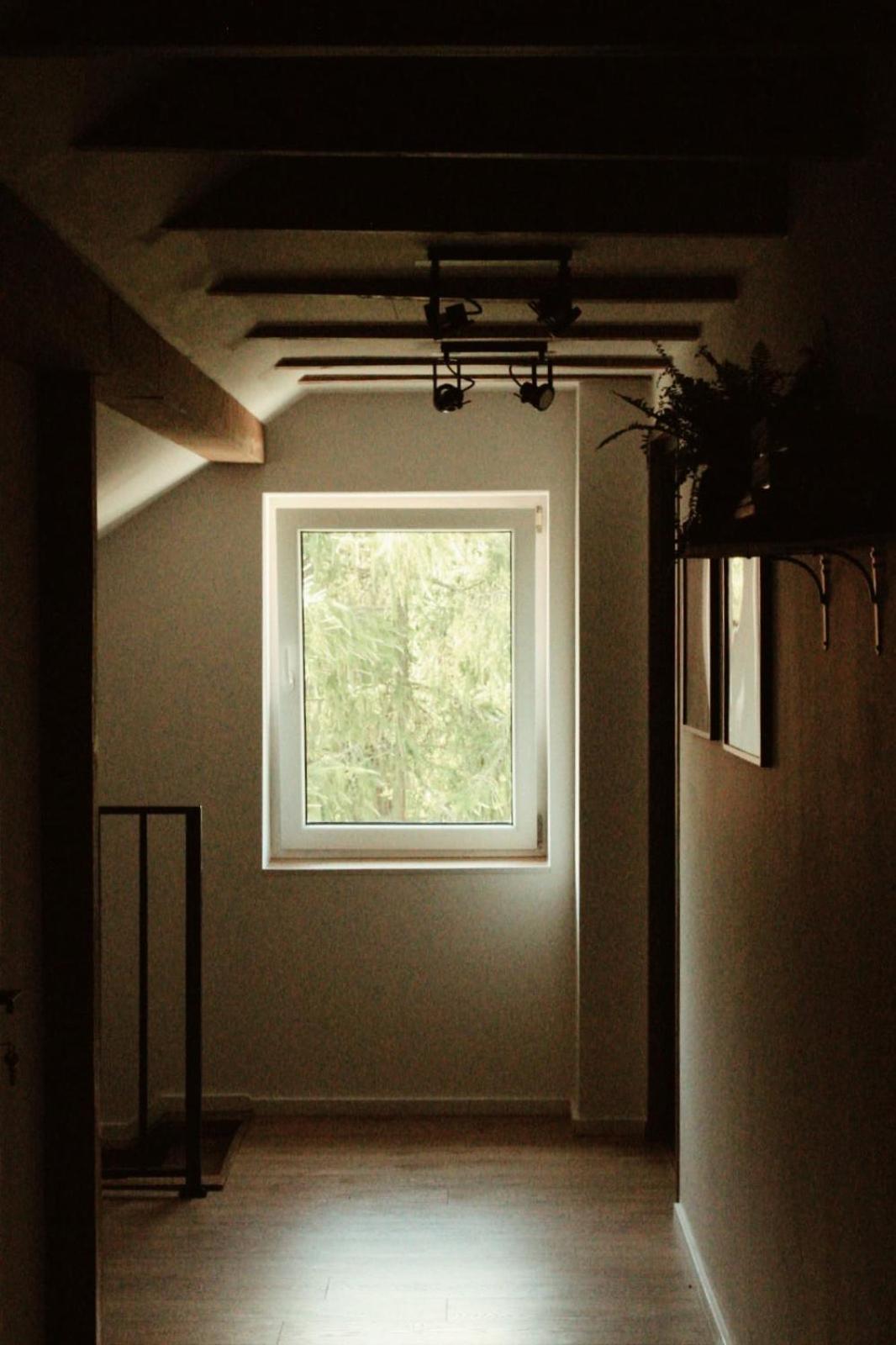 Forrest Bed and Breakfast Polanica-Zdrój Eksteriør billede